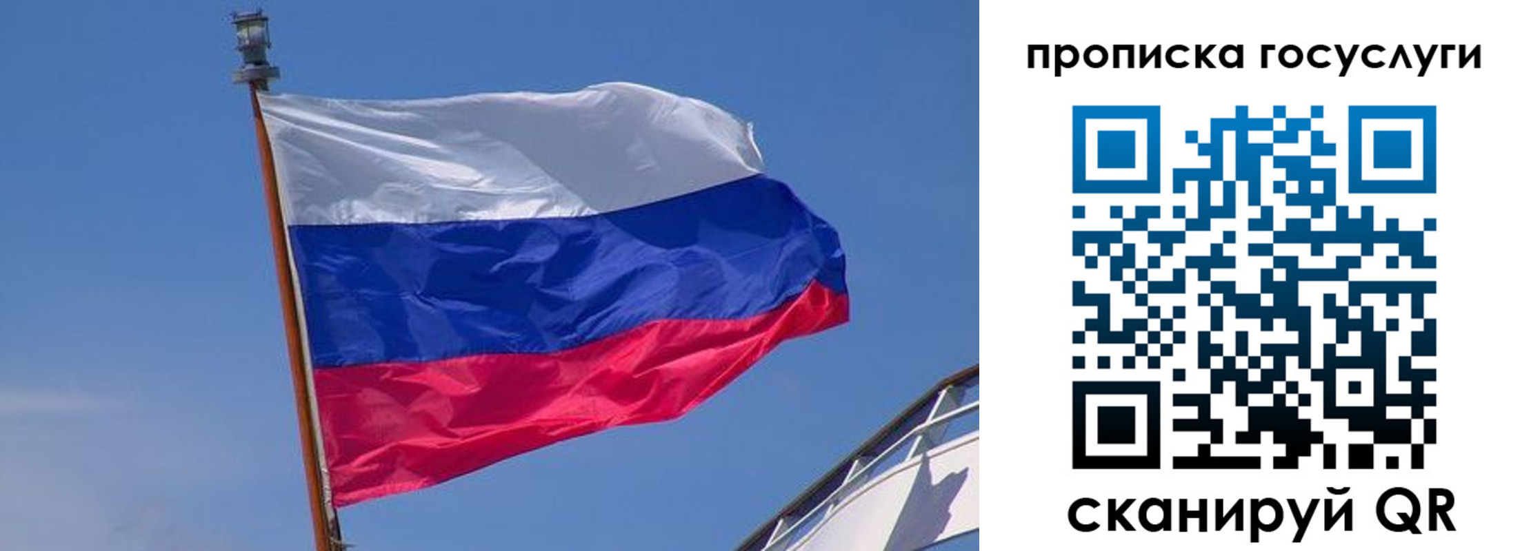 временная регистрация купить в Купино